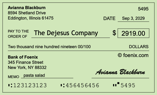 How to write a check for $2,919