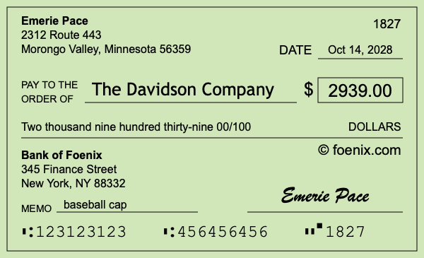 How to write a check for $2,939