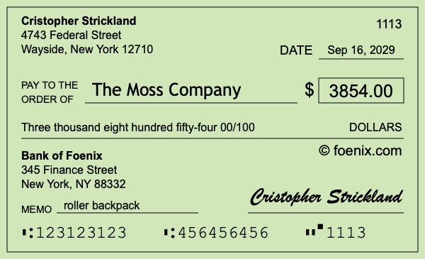 How to write a check for $3,854