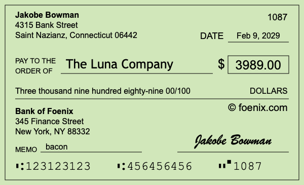How to write a check for $3,989
