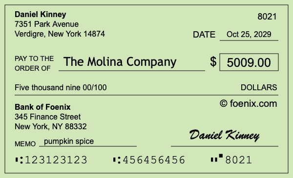 How to write a check for $5,009