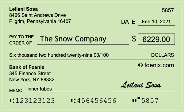 How to write a check for $6,229