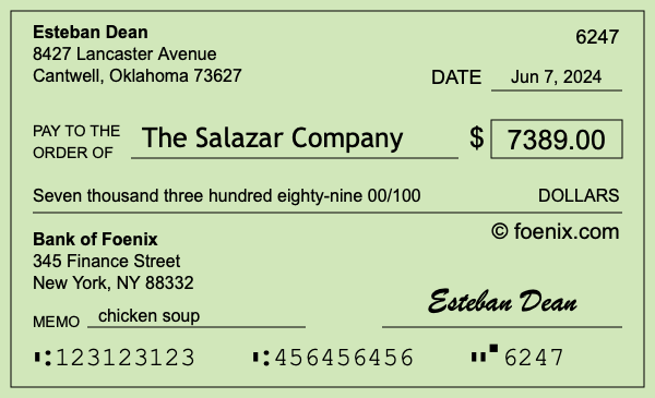 How to write a check for $7,389
