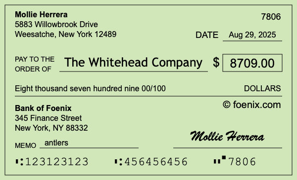 How to write a check for $8,709