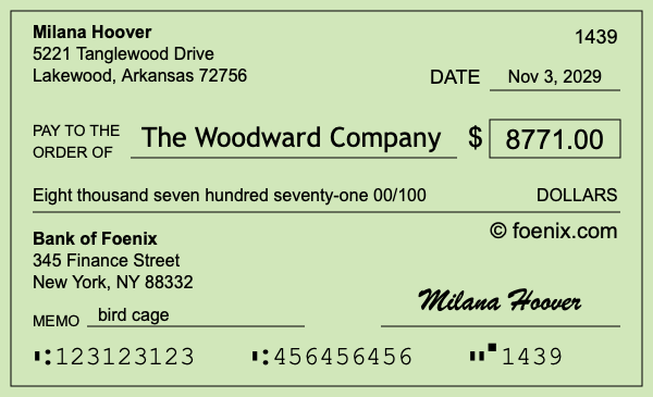 How to write a check for $8,771