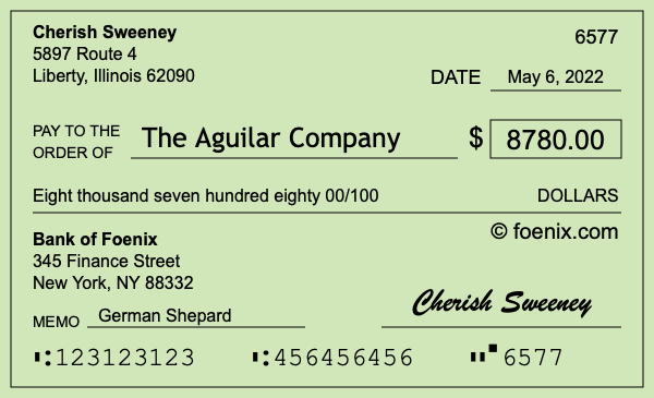 How to write a check for $8,780