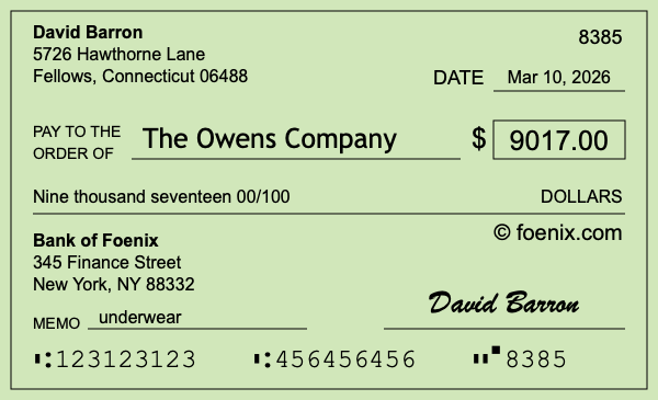 How to write a check for $9,017