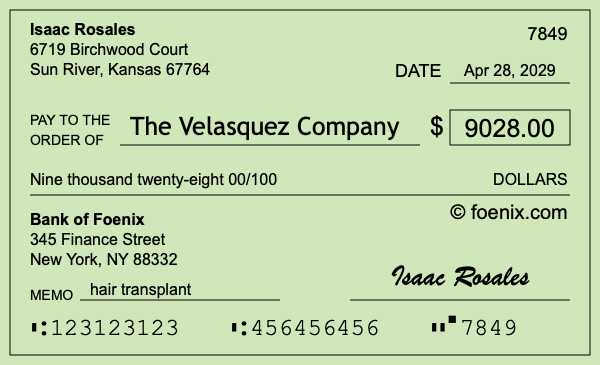 How to write a check for $9,028