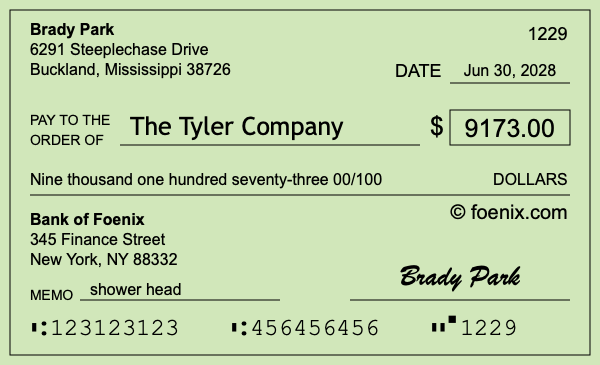 How to write a check for $9,173