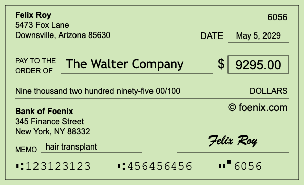How to write a check for $9,295