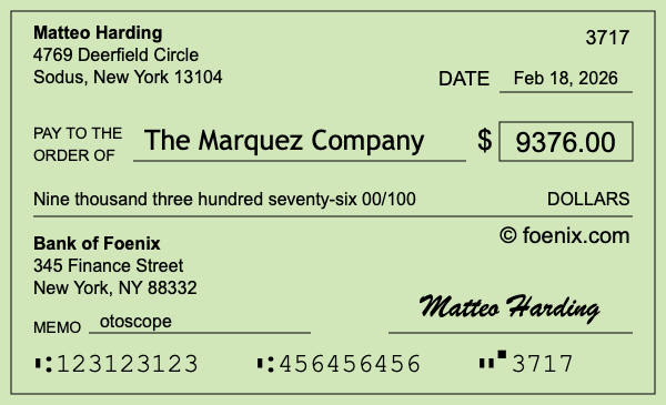 How to write a check for $9,376