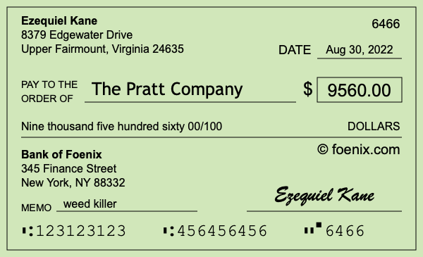 How to write a check for $9,560