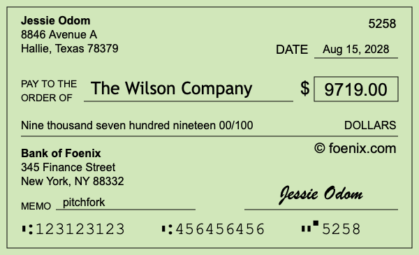 How to write a check for $9,719