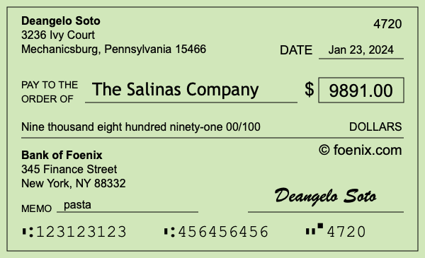How to write a check for $9,891