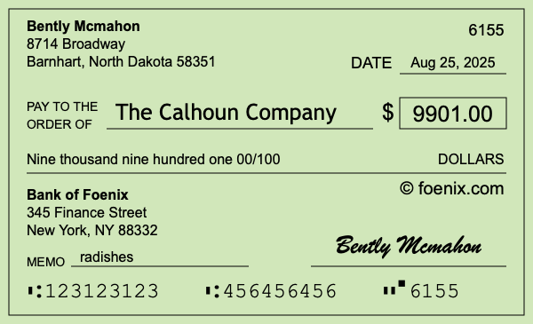 How to write a check for $9,901