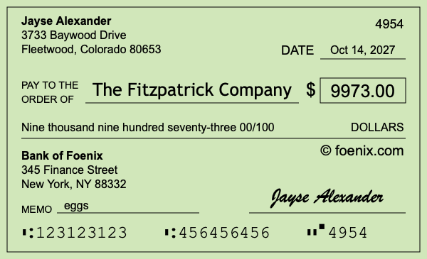 How to write a check for $9,973