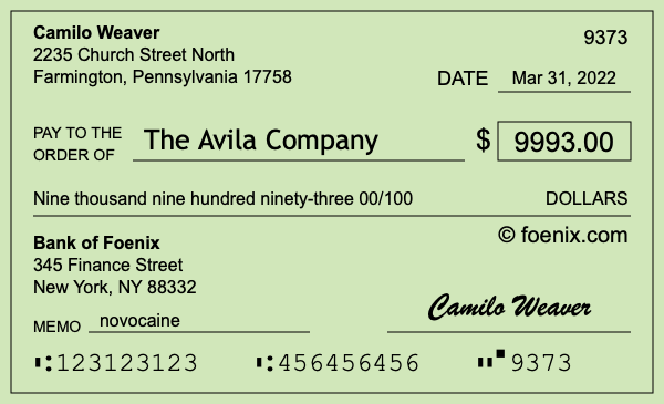 How to write a check for $9,993