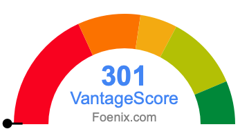 301 VantageScore credit score