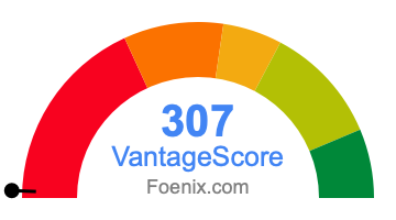 307 VantageScore credit score