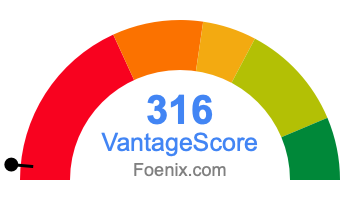316 VantageScore credit score