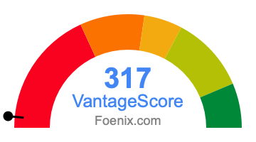 317 VantageScore credit score