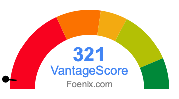 321 VantageScore credit score