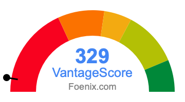 329 VantageScore credit score