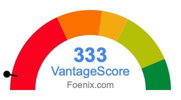 333 VantageScore credit score