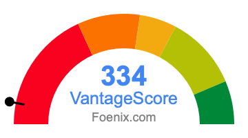 334 VantageScore credit score