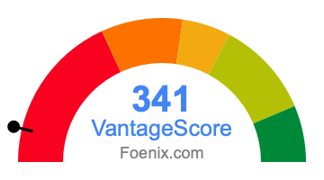 341 VantageScore credit score