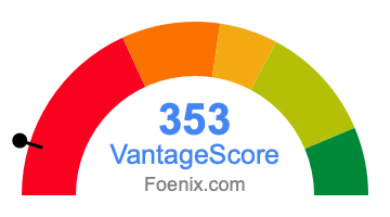 353 VantageScore credit score
