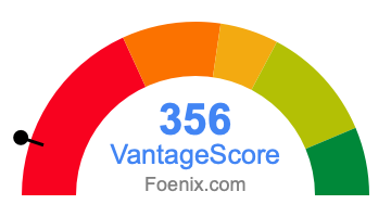 356 VantageScore credit score