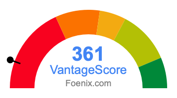 361 VantageScore credit score