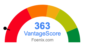 363 VantageScore credit score