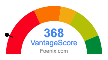 368 VantageScore credit score