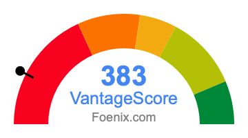 383 VantageScore credit score