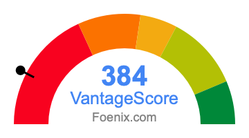 384 VantageScore credit score