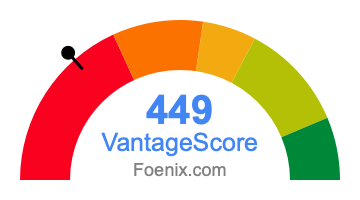 449 VantageScore credit score