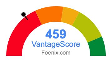 459 VantageScore credit score