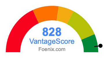 828 VantageScore credit score